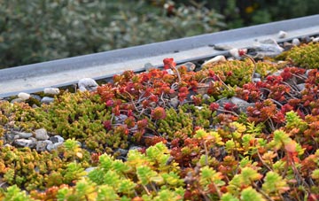 the cost of Redberth green roof installation