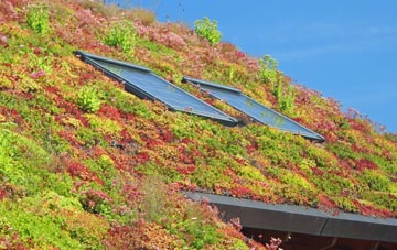 Redberth living roof systems