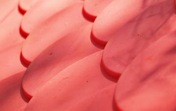 Redberth plastic roof costs