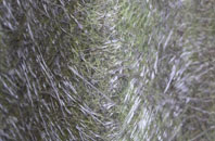 Redberth fibreglass roof work